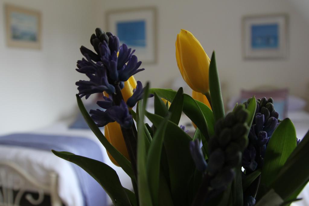 Sunny Cottage Maidenhead Kamer foto